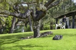 Husqvarna 440 Automower <4000m² 10 Husqvarna 440 Automower <4000m² -HUSQVARNA Winkel 967673312 5 Husqvarna20Automower2044020gazon204000m.jpg